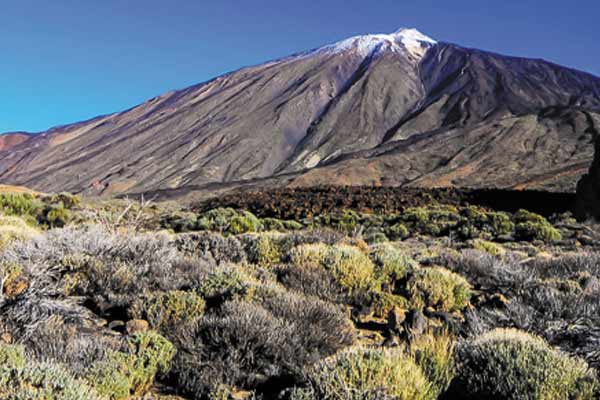 Marangu Route Trek